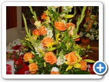 Imagen 1130