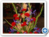 Imagen 1133
