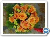 Imagen 1136
