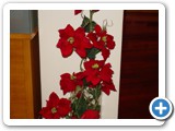 Imagen 114