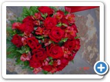 Imagen 1144