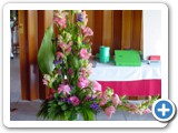 Imagen 1148