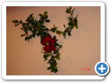 Imagen 115
