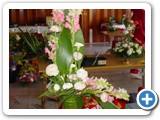 Imagen 1154