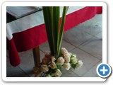 Imagen 1163