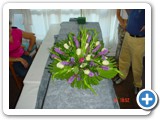 Imagen 1215