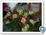 Imagen 1218