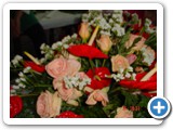 Imagen 1222