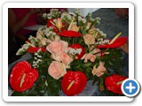 Imagen 1224
