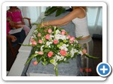 Imagen 1225