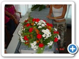 Imagen 1226