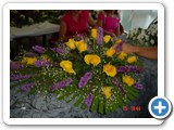 Imagen 1227