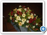 Imagen 1230