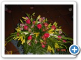 Imagen 1231