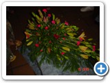 Imagen 1233