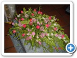 Imagen 1235