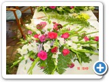 Imagen 1241