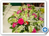 Imagen 1246