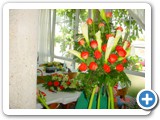 Imagen 1248