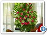 Imagen 1250
