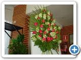 Imagen 1251