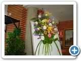 Imagen 1252