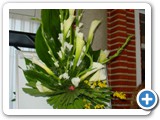Imagen 1254