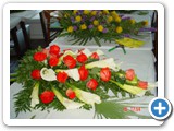 Imagen 1255