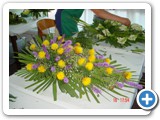 Imagen 1256