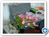 Imagen 1259