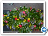 Imagen 1262