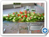 Imagen 1264