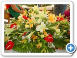 Imagen 1267