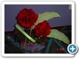 Imagen 127
