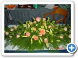 Imagen 1271
