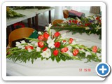 Imagen 1273