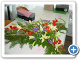 Imagen 1274