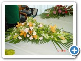 Imagen 1275