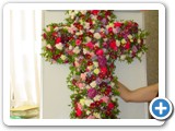 Imagen 1291