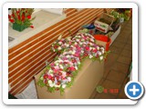 Imagen 1292