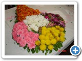Imagen 1297