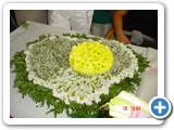 Imagen 1301
