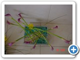 Imagen 1334