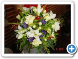Imagen 1409