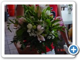 Imagen 1411