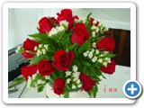 Imagen 1415