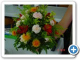 Imagen 1416