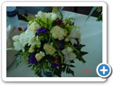 Imagen 1417