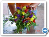 Imagen 1424