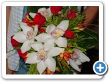 Imagen 1430